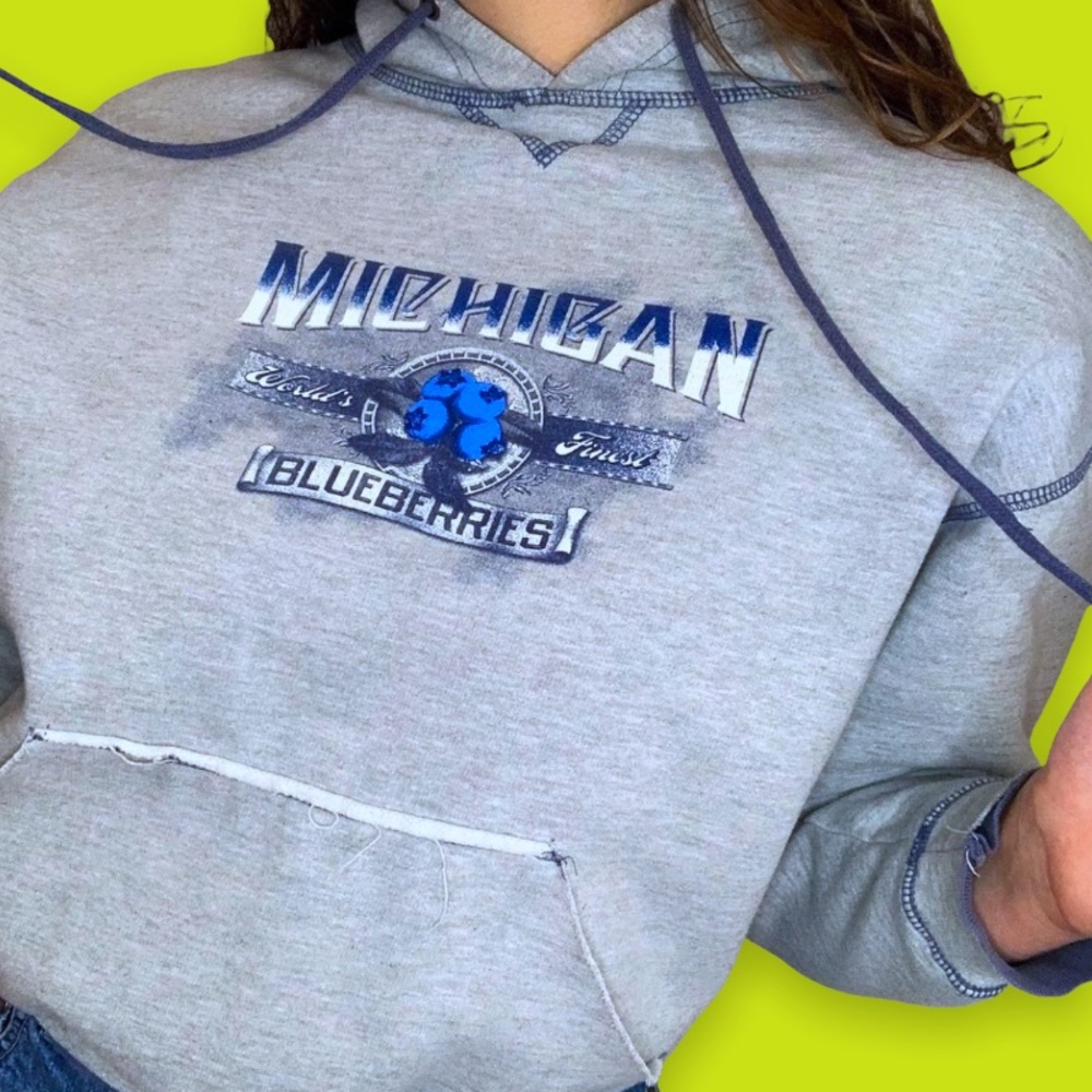 Vintage Michigan Blueberries Hoodie Size Medium Contrast Stitching Sweatshirt